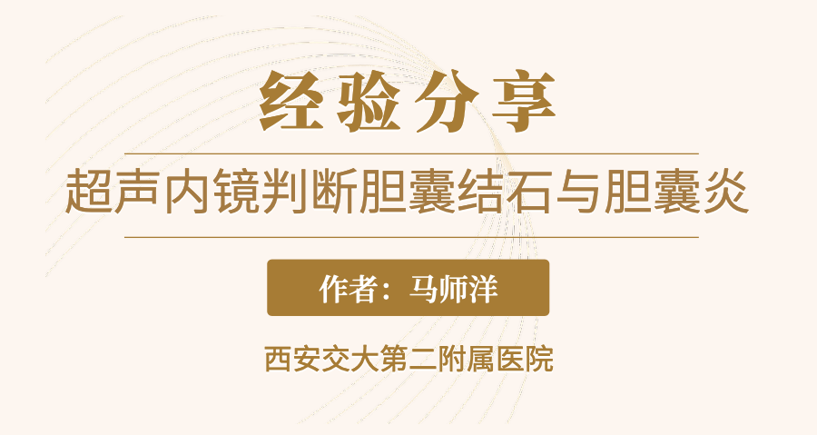 超声内镜判断胆囊结石与胆囊炎