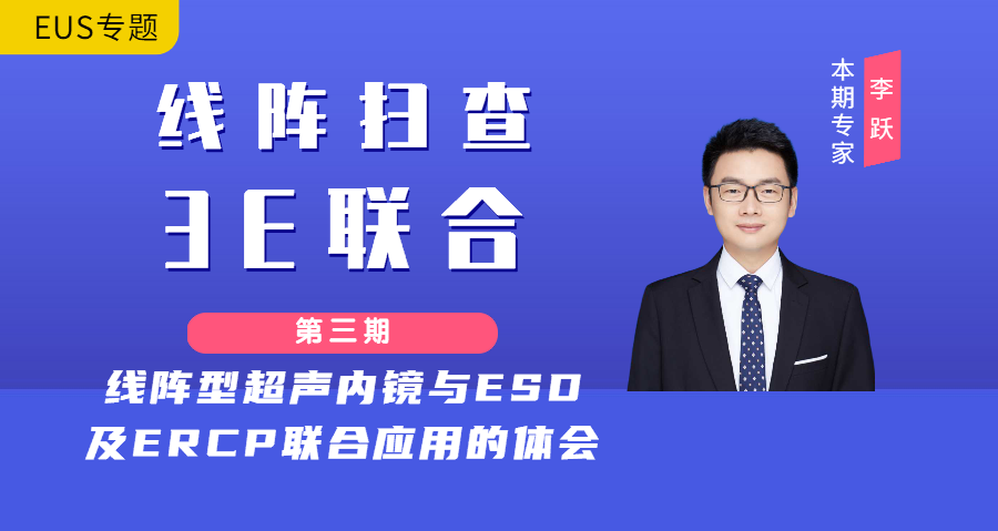 线阵扫查 3E联合